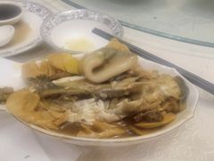 -孔庆璞河豚馆(白玉兰酒店)