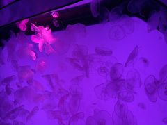 -沈阳海洋探索中心