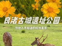 -良渚古城遗址公园