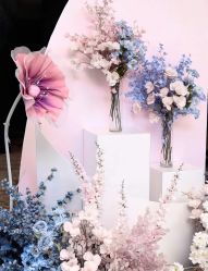 -明典婚礼策划·婚车租赁·婚纱摄影