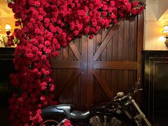 -碧特博格啤酒花园餐厅(芜湖路店)