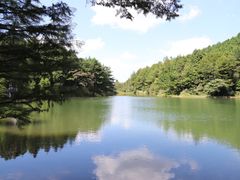 -四明山国家森林公园
