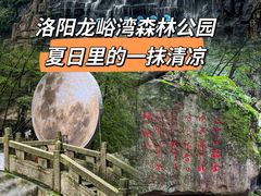 -龙峪湾国家森林公园