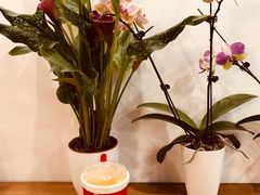 -奈雪的茶(市百一店)