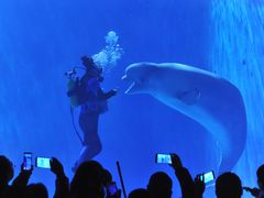 -多彩贵州城极地海洋世界