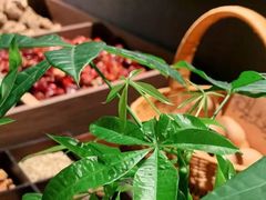 -满堂匠心川宴·私房菜(天府三街店)