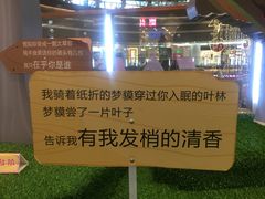 -深圳龙华星河COCO City(民治店)