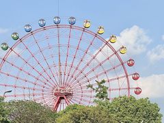 -成都南湖公园