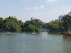 -荔湾湖公园