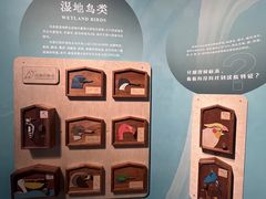 -中国湿地博物馆