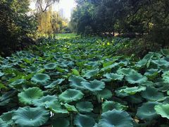 -咸阳湖景区-统一广场