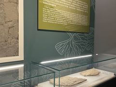 -辽宁古生物博物馆