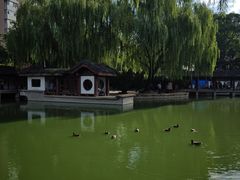-团结湖公园