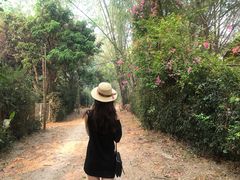 -Bamboo Saturday Market(Nana Jungle)