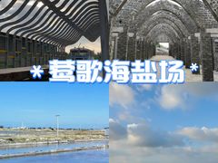 -莺歌海盐场