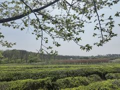 -凤凰沟景区