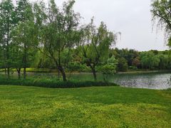 -上海佘山世茂艾美酒店