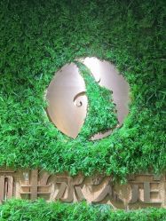 点击看大图 -变美丽半永久纹眉连锁·机器野生眉•洗眉