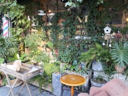 -青木造型HAIR·あおき髪を刈る潮人店