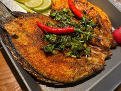 -云海肴·汽锅鸡·云南菜(天山百盛优客店)