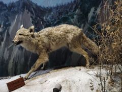 -陕西自然博物馆