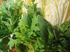 -椰子湾·海南火锅·糟粕醋·椰子鸡(正大广场店)