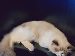 -零纪元VR体验馆·桌游(黄浦店)