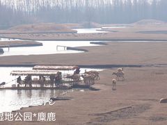 -老海陵·泰州菜(图书馆店)