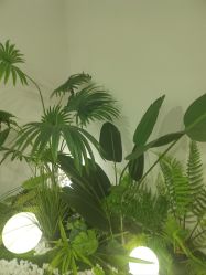 -HEYAN荷妍专业脱毛连锁机构