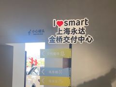 -上海浦东smart汽车全功能店(金桥店)
