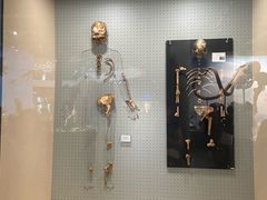 -辽宁古生物博物馆
