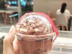 巧克力麦芽宝藏杯-奈雪的茶(杭大501城市广场PRO店)