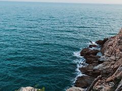-广东惠东海龟国家级自然保护区