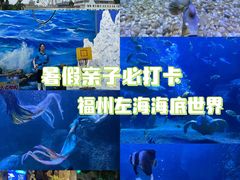 -左海海底世界
