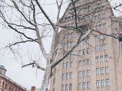 -上海和平饭店 Fairmont Peace Hotel