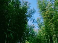 -黄公望隐居地