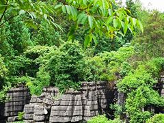 -梭布垭石林景区