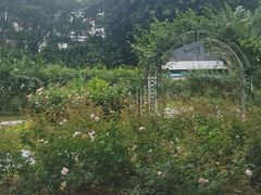 -人民公园(罗湖区)