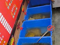 -状元甲·湖北甲鱼大王(汉口火车站店)