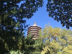 -玲珑塔公园