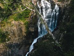 -海南热带雨林国家公园吊罗山景区