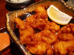 唐扬鸡块-山杏yama-katsu·吉列炸物