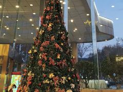 -南京维景国际大酒店(南京博物院店)