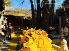 -韩景台烤肉(八大处店)