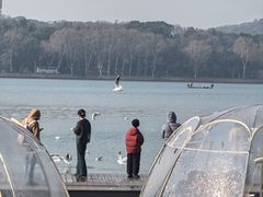 -水上明月·湖景餐厅