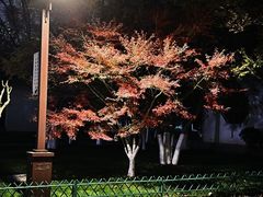 -堤角公园