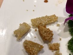 -丁老爷子苏香圆