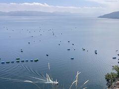 -抚仙湖禄充风景区
