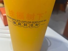 -扶摇树下·椒麻鲜活虾(石家庄勒泰广场店)