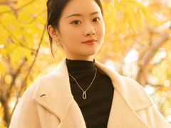-三里屯东五街银杏大道
